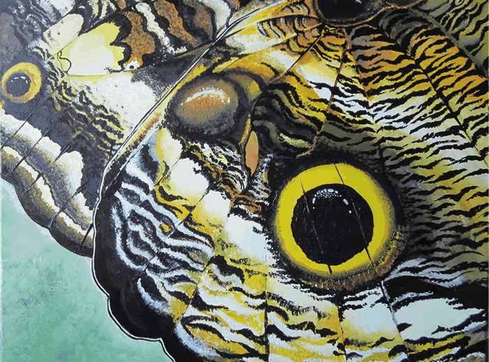 original sold-prints available-Owl Butterfly-switzerland lisa maier